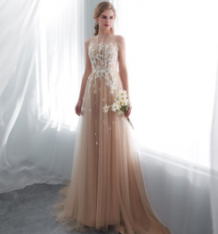 Donna Bridal romantické šaty s krajkovým živůtkem a s hvězdičkami na sukni kód 336 - Šampaň